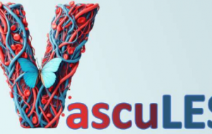 10 maggio 2024. “Vascules”. Approcci Interdisciplinari in Reumatologia - 13^ Edizione
