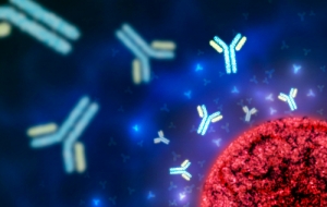 23 maggio. Immunodeficienze congenite, nuove entità e nuove terapie