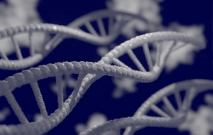 6 giugno. Le ricadute cliniche del progetto genoma a vent’anni dal suo completamento